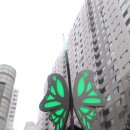 우성에너지 - 춘천시 | 우성에너지
