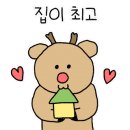협재홀라인