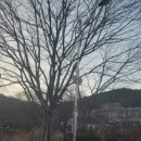 선운산유스호스텔 | 전북 고창군 가성비 숙박, 선운산 등산하기 좋은 고창선운산유스호스텔, 예약방법 및 유의사항(23.11)
