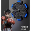 스마트아이뮤직 | 크리스마스 선물 고민 끝! 겨울방학 실내운동 끝판왕, 스마트 뮤직 복싱기계 사용후기