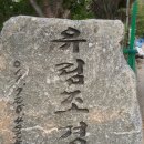 유림조경