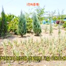 지곡농장 이미지