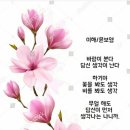 6.25참전학도병  이미지