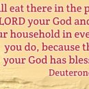 신명기 12장 설교/너희 하나님 여호와 앞에서 이것들을 먹고 너희 손에 가진 모든 것으로 너희와 너희 가족들은 기뻐하라[Deuteron 이미지