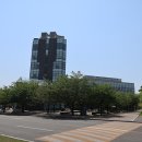 영남대학교 정문 이미지