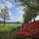 신안자동차공업사 이미지