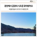 점동금광마을 이미지