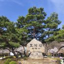 모악산주차장 | 모악산 벚꽃 등산코스 ! 구이주차장출발 금산사 하산