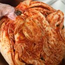 (주)신세계푸드 조선호텔 | 피코크 조선호텔 포기김치 4kg 국산김치 내돈내산 후기