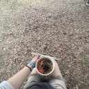 2025 피크페스티벌 day1 후기 : 나는 이를 깍깨물고 춤췄던거야..😬💃🪩 토요일 편