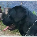 숙이농장 이미지