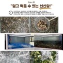 진월동 | ‘ 시골집 추어탕 ’보쌈에 반탕 최고 조합 후기