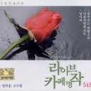 고수림 이미지