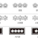 경찰관 소방관 교도관 계급비교 이미지