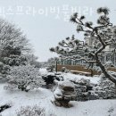 플렉스프라이빗풀빌라 이미지