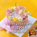너티라이스 이미지