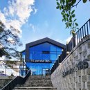 파라이소 | 청도 대형 카페 애견 동반 브런치 맛집 엘파라이소 365 후기