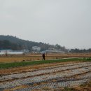 용해동주민센터 이미지