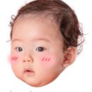 이기정농장 이미지