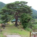 상천축산 이미지