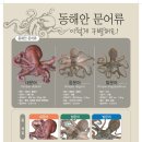 대문수산 이미지