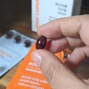 지엘마케팅 | 라이코펜영양제 베트남걱오일영양제 지엘라이프 하이코펜 걱오일 4000