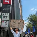 보사노바 이미지