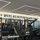몬스터 피트니스센터 | 삼성동 헬스장 리바이벌 피트니스 깔끔한 시설 PT 후기