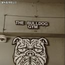 불독휘트니스 이미지
