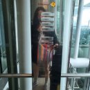 다다헤어클럽 | 일본 | 시즈오카 공항에서 하마마쓰 역 가는 방법, 호텔수이 하마마츠, 일본 소도시 여행