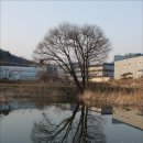 덕고개비디오