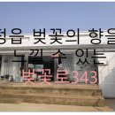 벚꽃로343