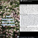 대문집