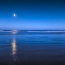Helen Shapiro - Beyond The Sea 이미지