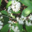 상좌보건진료소 이미지