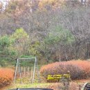 금산삼원가든 이미지