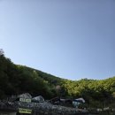 충북 보은 바베큐 카페 펜션 파인트리 숙박 후기
