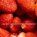 프롬디(FROM:D) 이미지