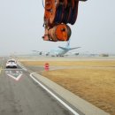 국제라지에타 이미지