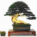 아름다운 선물 이미지