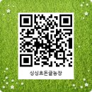 싱싱귤농장