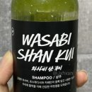 샨헤어 이미지