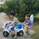 손자농장 이미지