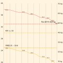 49 | 위고비 마운자로 가격 내돈내산 후기 (49kg)