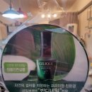 네일 여기서봐 네이버블로그