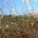 동락파크골프장 이미지