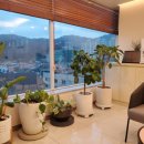 삼성베스트유외과의원 이미지