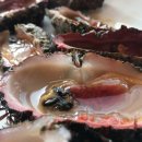 제주마당 이미지