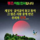 꿈꾸다 이미지