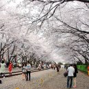 더 머물다 Daum카페